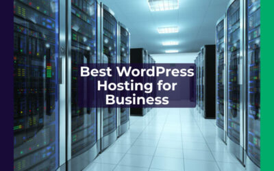 Best WordPress Hosting for Business